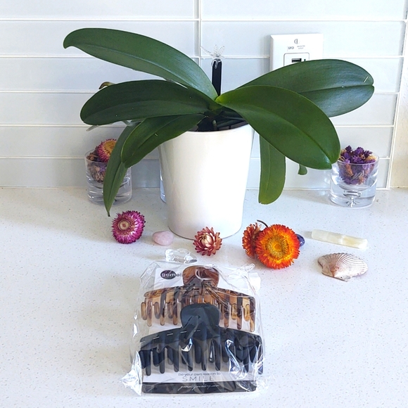 Gemelli ~ Jenna Hair Clip Set, Large - Picture 2 of 3